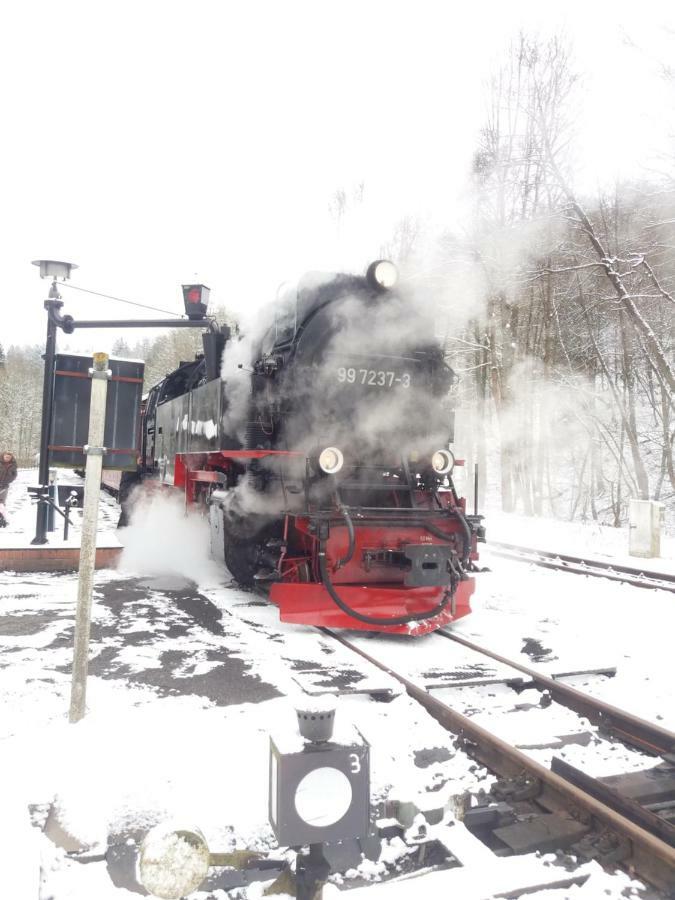 "Ferienhaeuser" Am Waldesrand Mit Und Ohne Garten Knusperhaeuschen, Teufelsloch, Walpurgishuette, Brockenhuette Wernigerode Ngoại thất bức ảnh